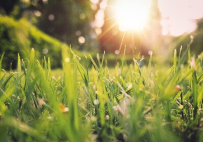 Places to Visit during Spring Break