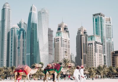 “Free of cost activities to-do in Dubai”
