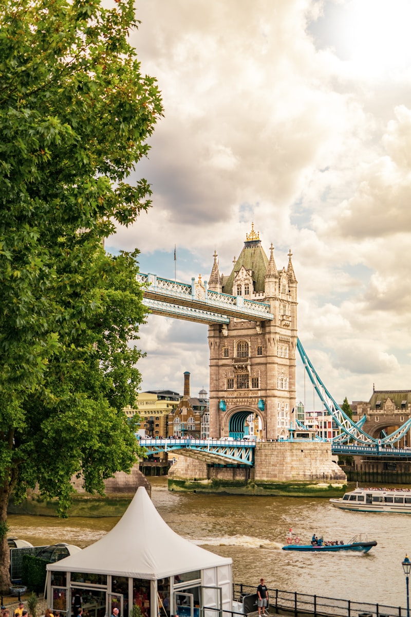 a view of the tower bridge from across the river