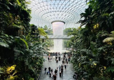  “Singapore Changi Airport-An Incredible spot”