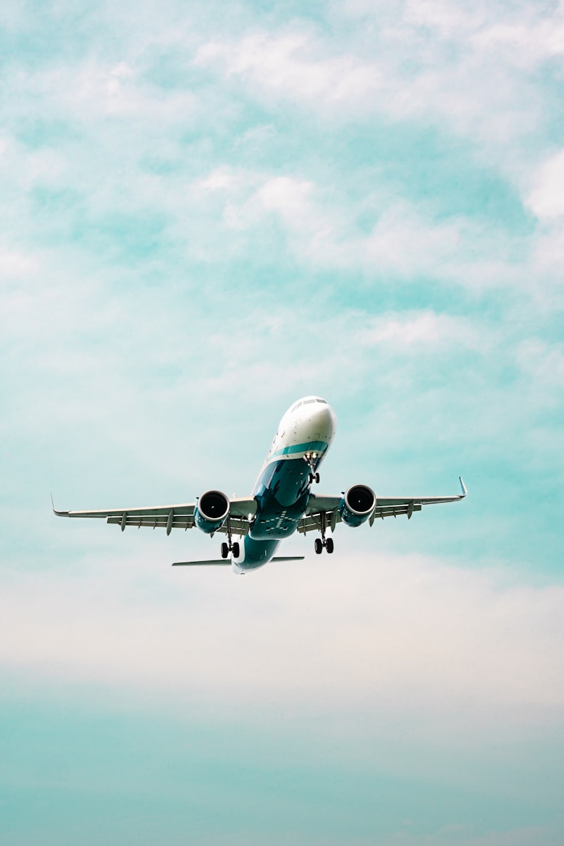 Airplane soars through the sky.