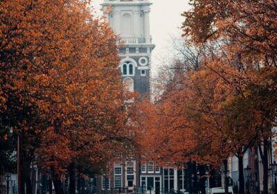 “Amsterdam in fall”